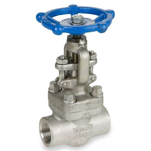 شیر سوزنی اروپایی